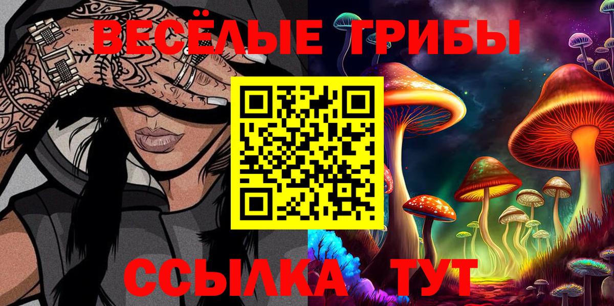 где купить   Галлюциногенные грибы мухоморы  Вход с VPN  Грозный 